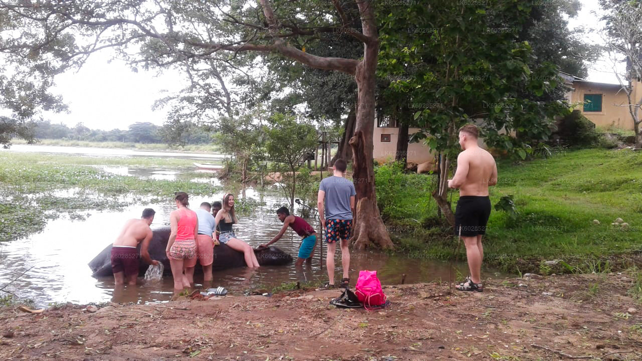 从哈巴拉那出发的大象回溯之旅