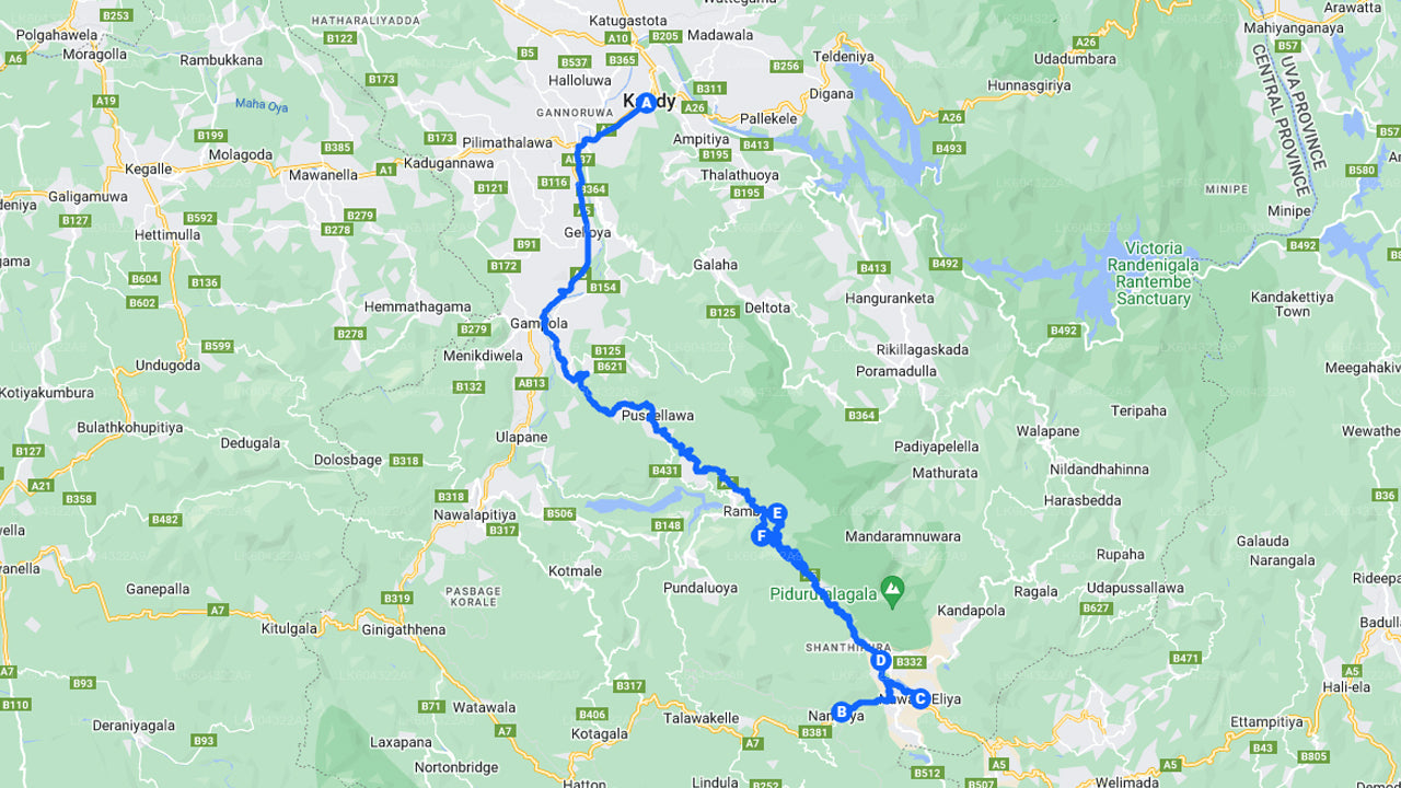 从康提乘坐风景优美的火车前往纳努奥亚