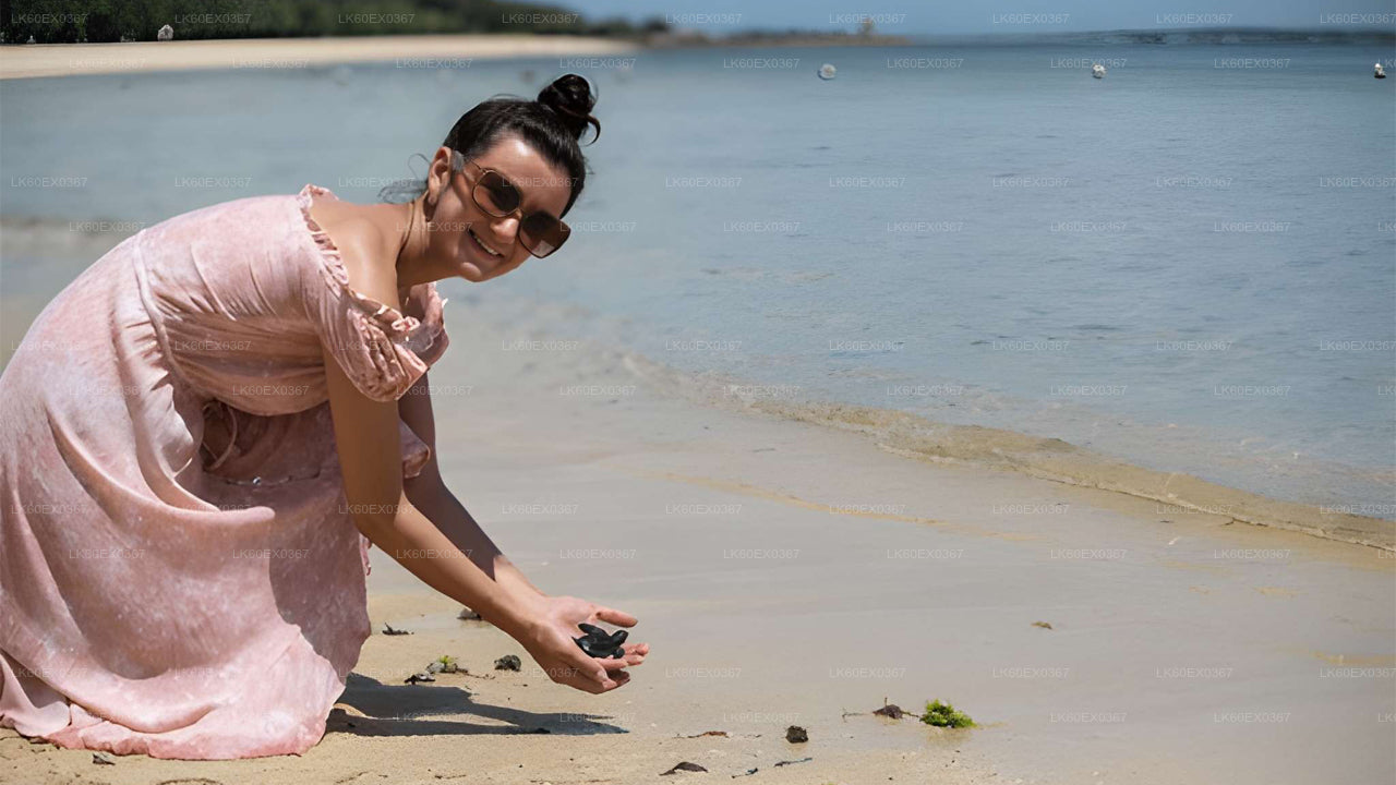 Baby Turtle Release from Unawatuna