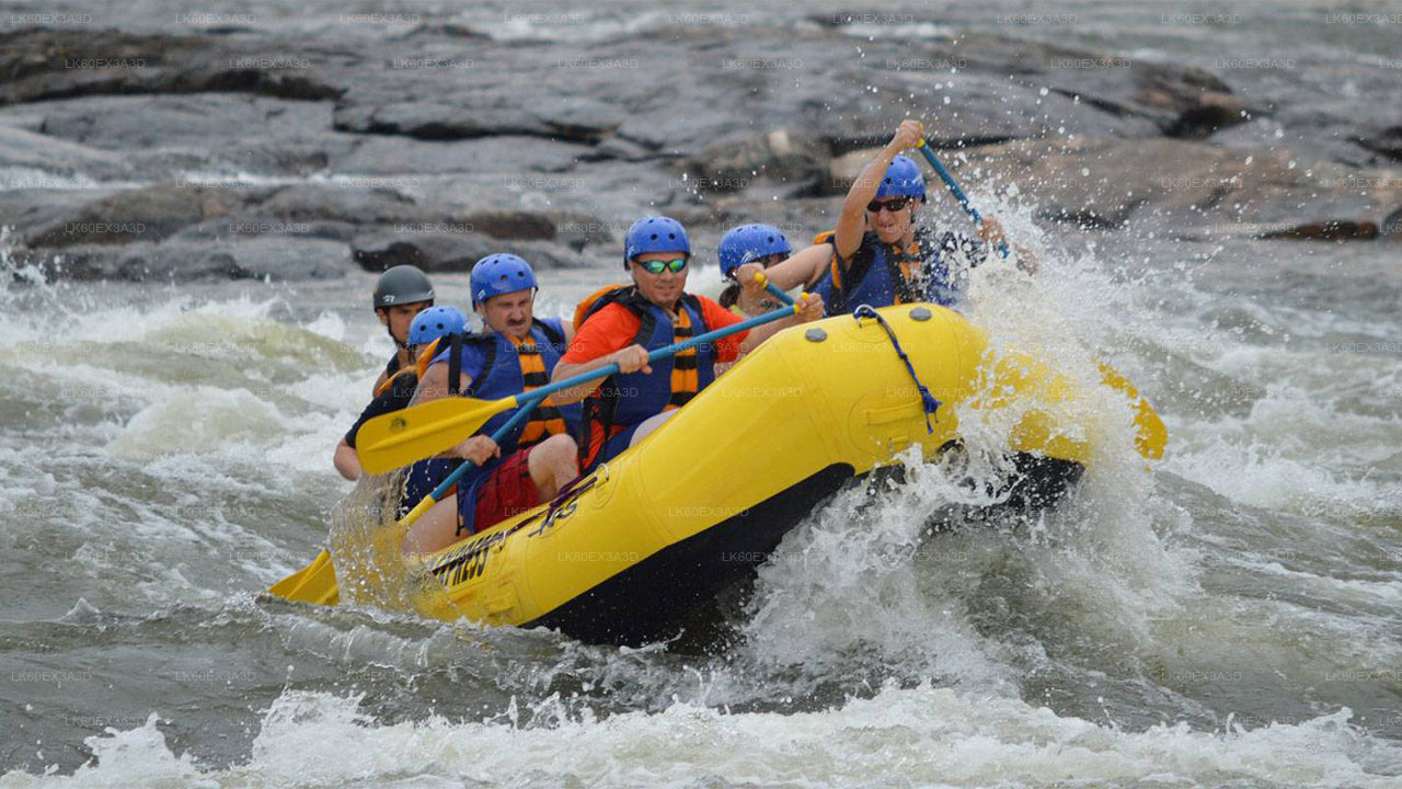科伦坡市至努瓦拉埃利亚市私人接送及漂流探险