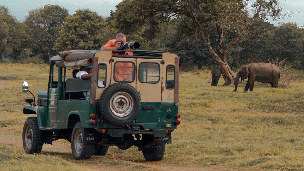 乌达瓦拉维野生动物园从米瑞莎到埃拉的私人旅游