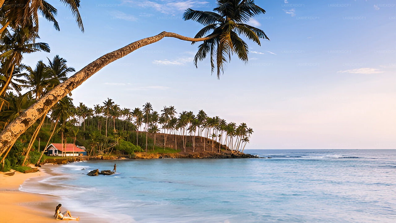 从埃拉到米瑞莎的私人旅游与乌达瓦拉维野生动物园