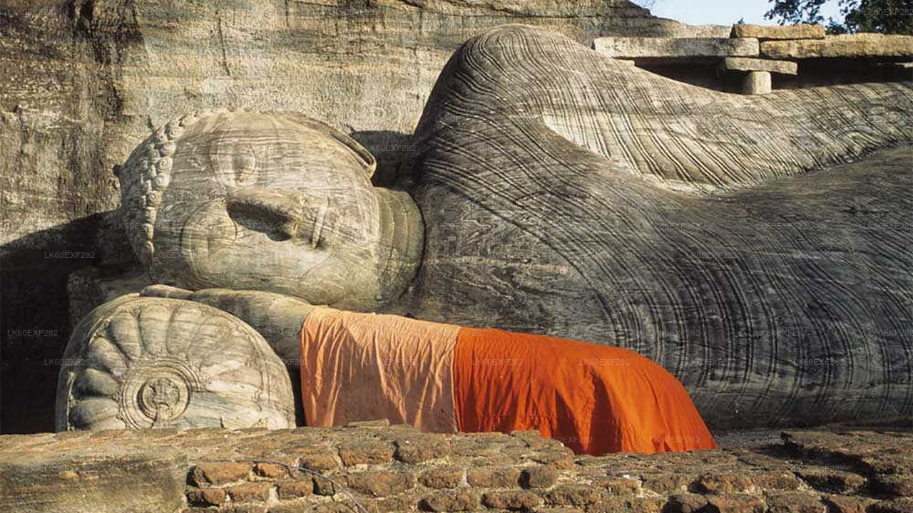 锡吉里亚至帕西库达私人接送与波隆纳鲁沃古城之旅