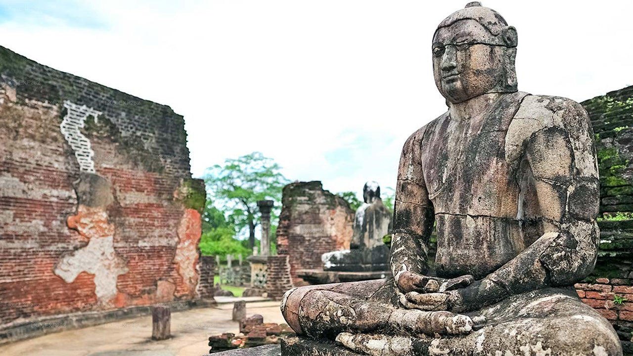 锡吉里亚至帕西库达私人接送与波隆纳鲁沃古城之旅