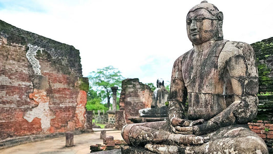 锡吉里亚至帕西库达私人接送与波隆纳鲁沃古城之旅