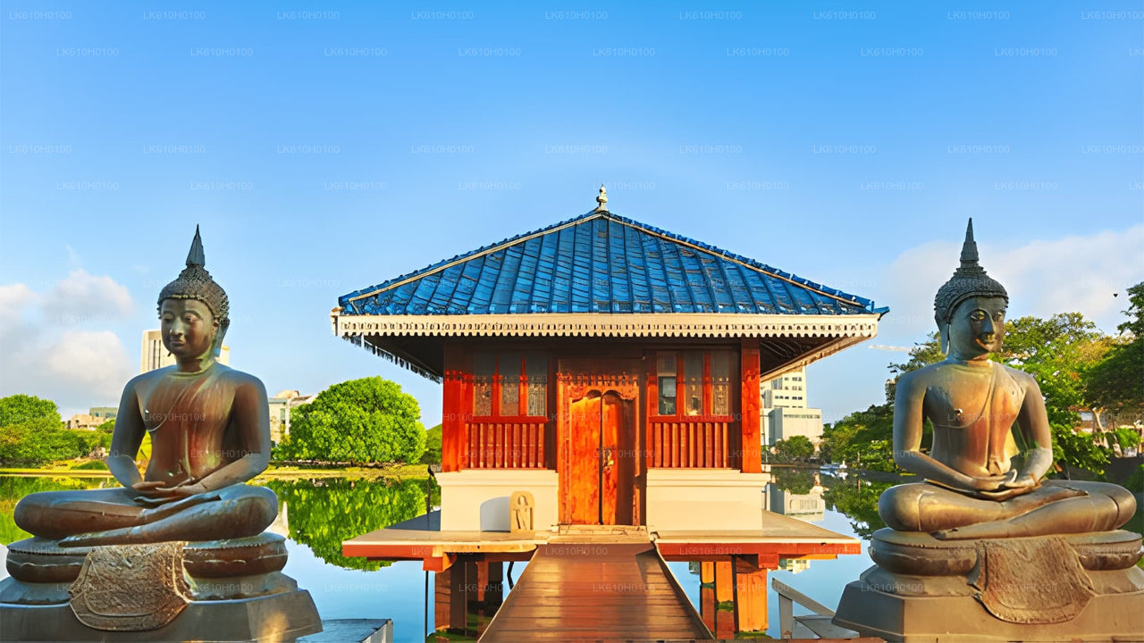 科伦坡港口出发，科伦坡城市游