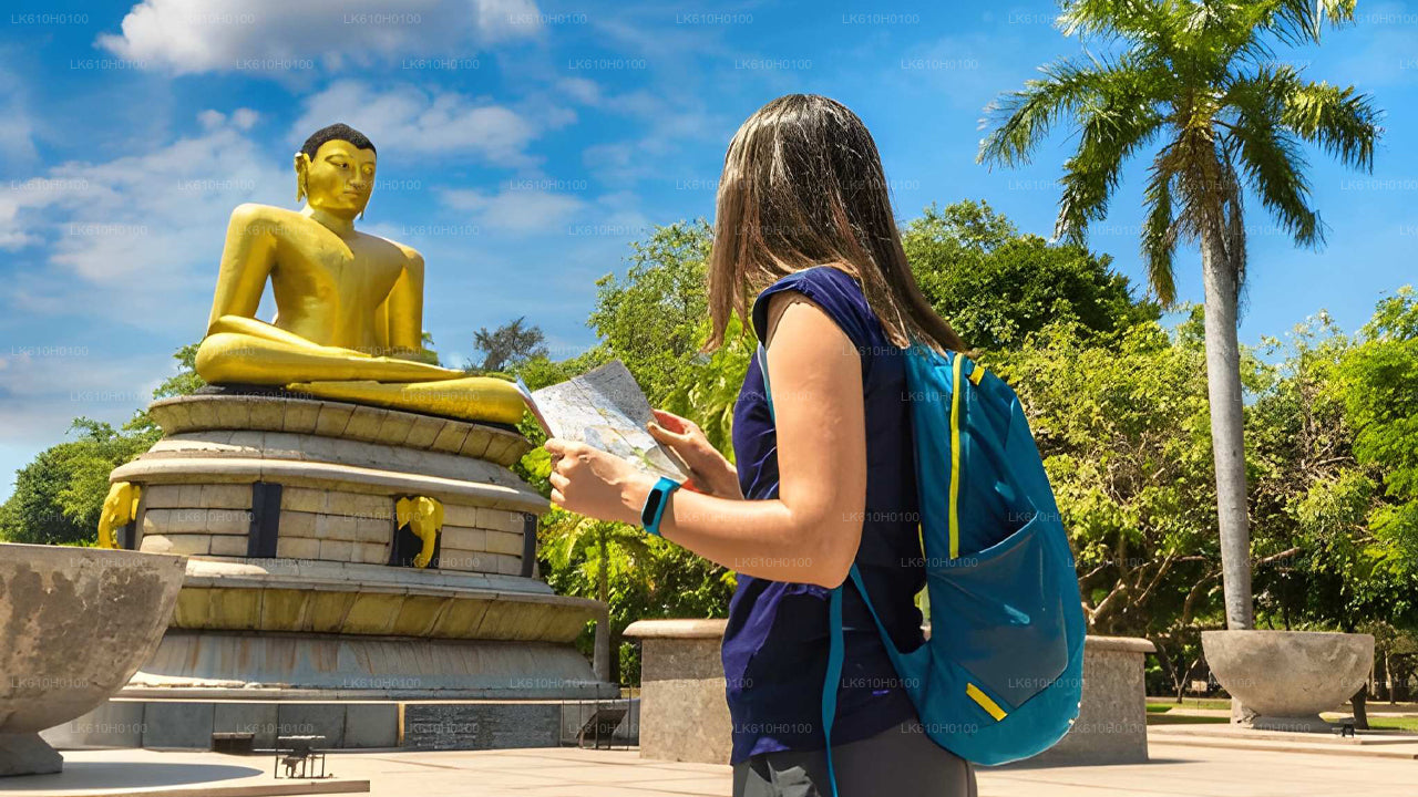 科伦坡港口出发，科伦坡城市游
