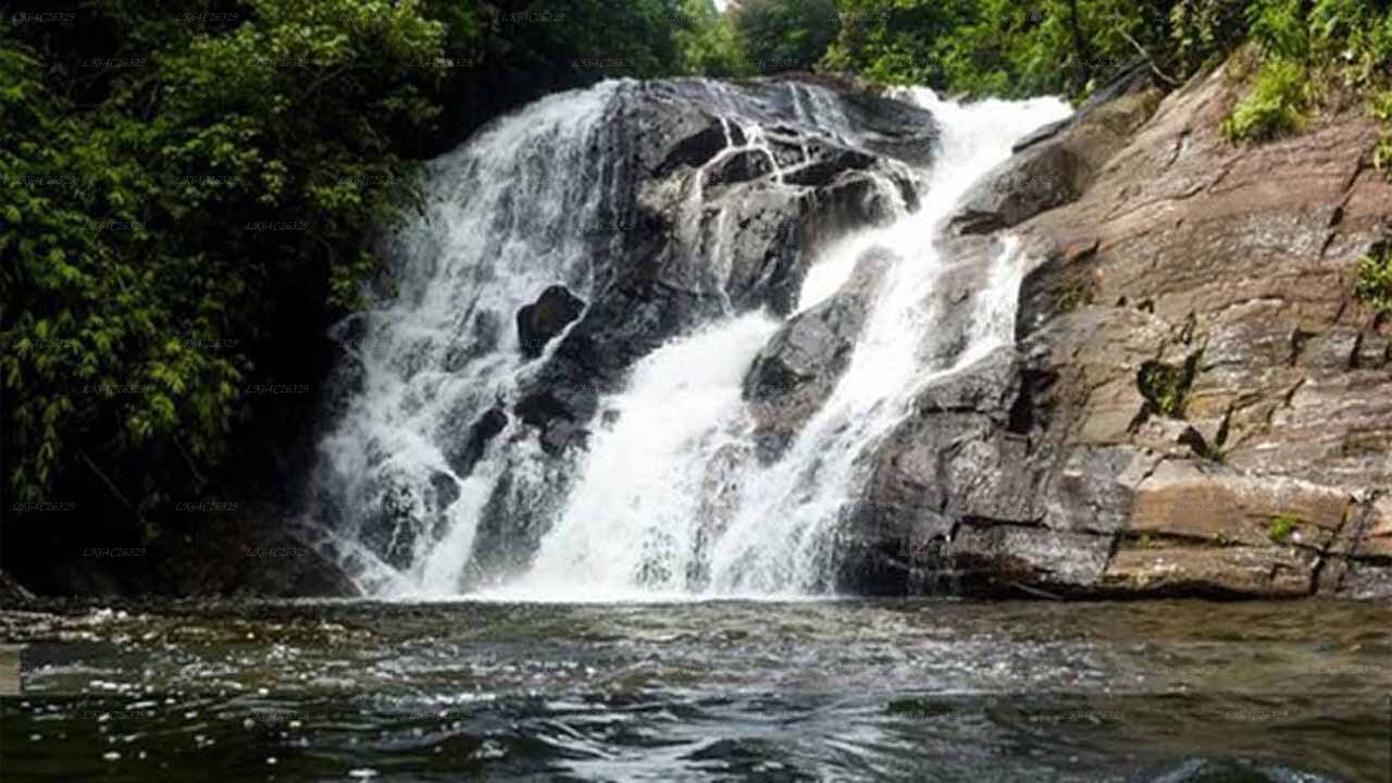 辛哈拉贾雨林瀑布之旅
