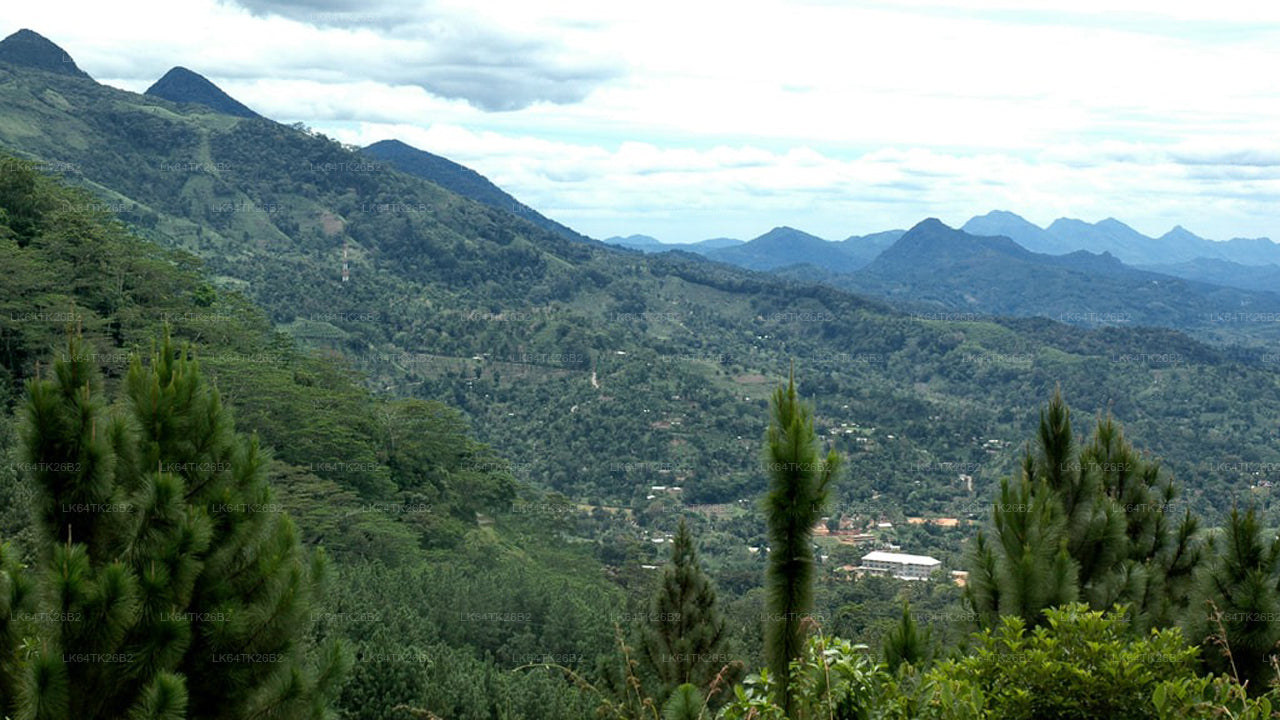 从辛哈拉贾雨林徒步前往狮子岩