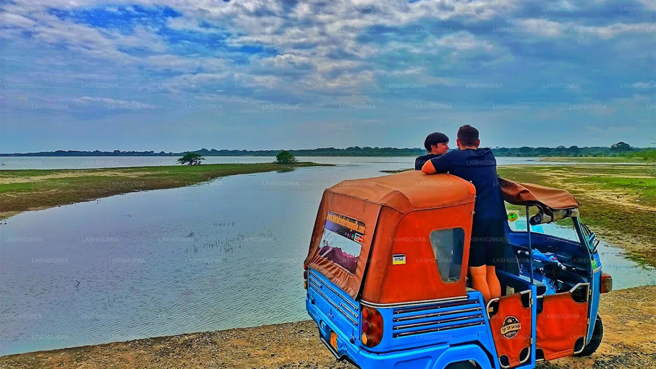 从加勒出发的南海岸嘟嘟车之旅