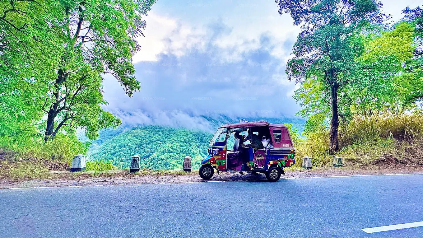 从加勒出发的南海岸嘟嘟车之旅