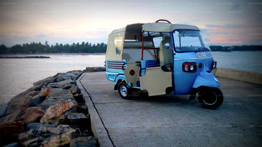 从加勒出发的南海岸嘟嘟车之旅