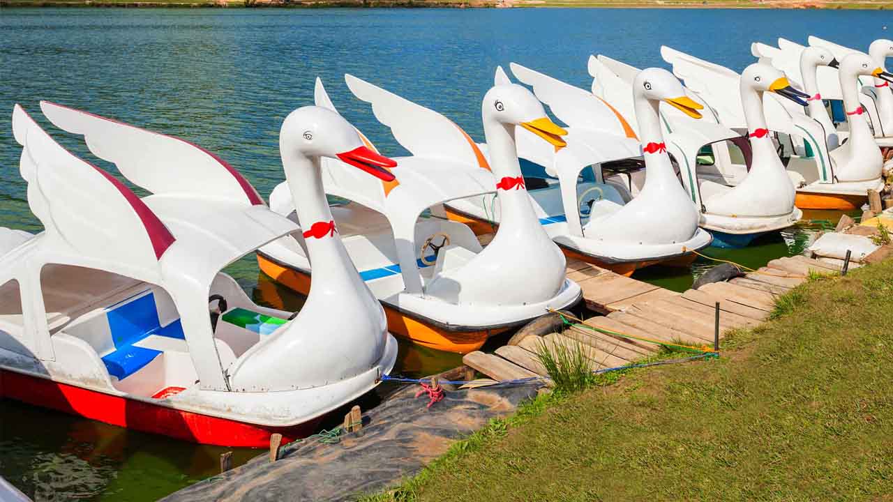 格雷戈里湖门票