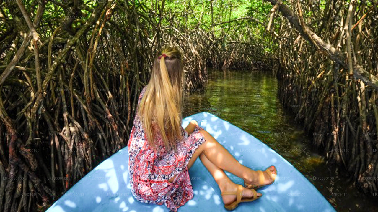 Madu River Safari and Turtle Hatchery from Kosgoda