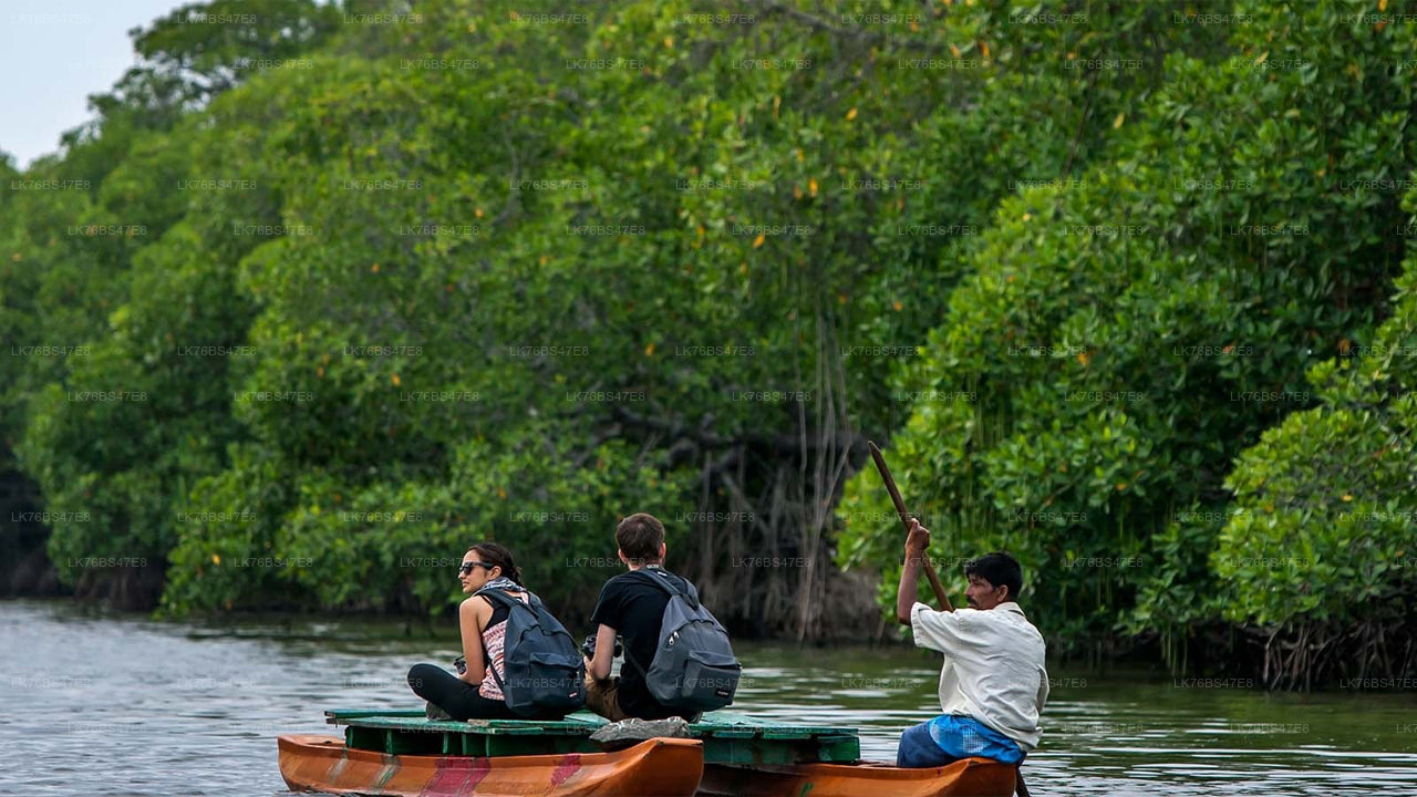 帕西库达泻湖 (Pasikudah Lagoon) 传统托尼 (Thoni) 导览游