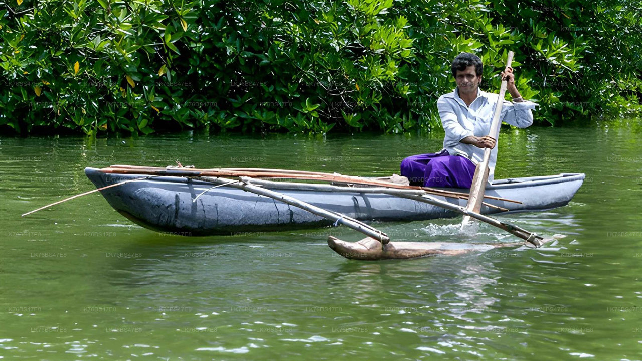 帕西库达泻湖 (Pasikudah Lagoon) 传统托尼 (Thoni) 导览游