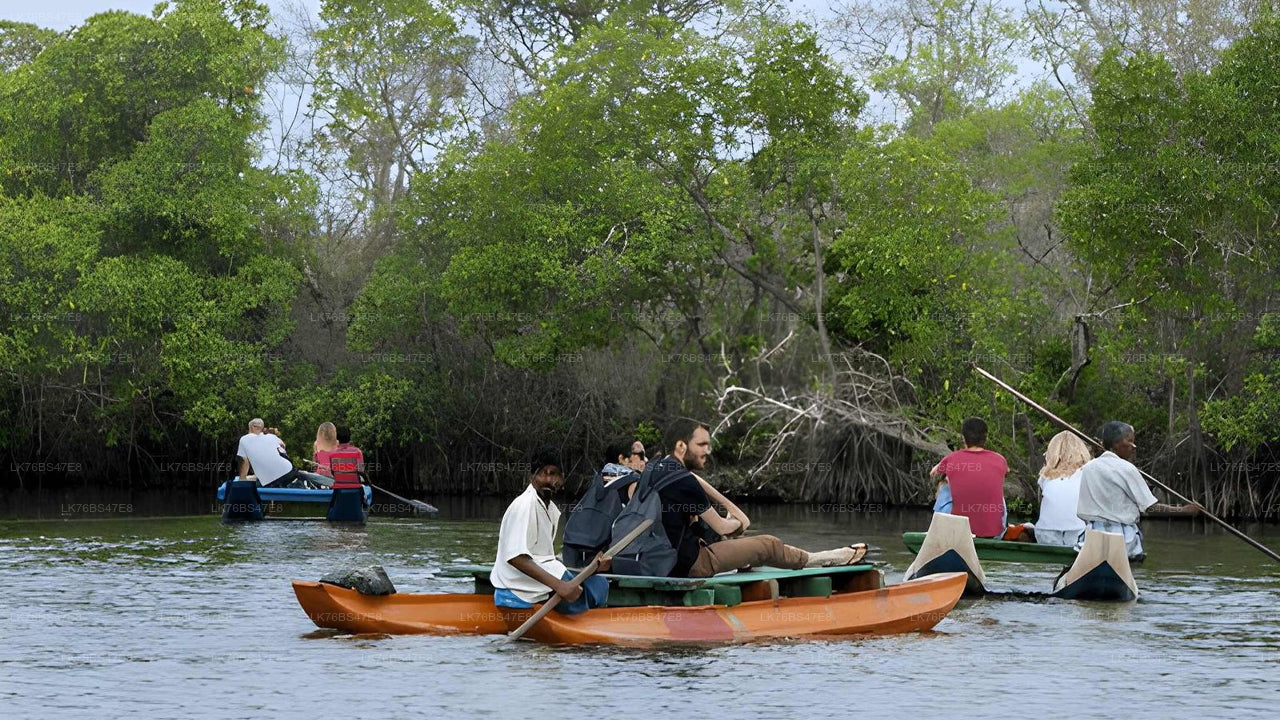 帕西库达泻湖 (Pasikudah Lagoon) 传统托尼 (Thoni) 导览游