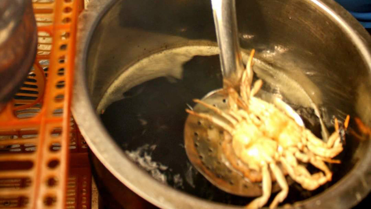 从科伦坡出发的街头美食骑行之旅