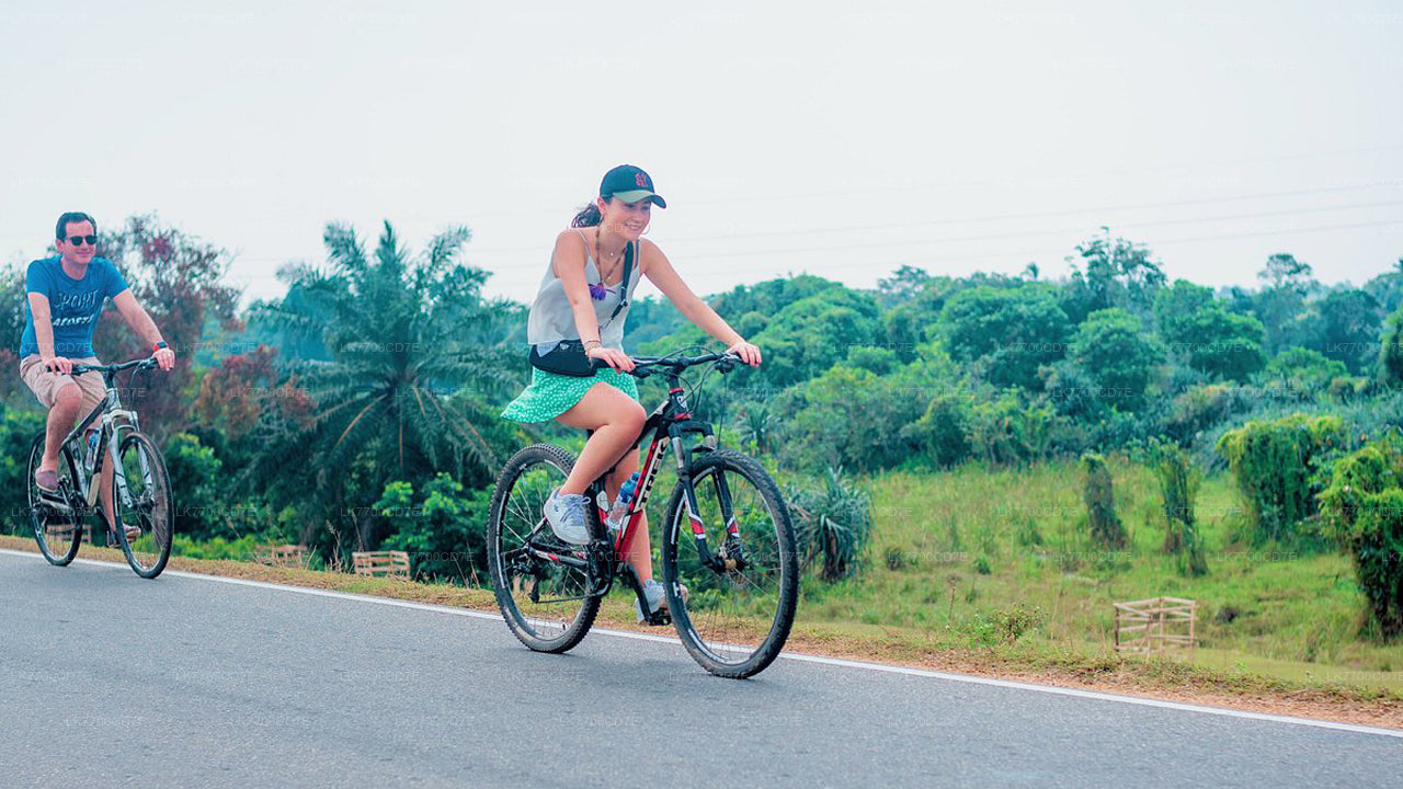 Morning Sporting Cycling Tour From Galle