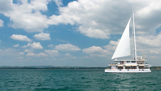 从米瑞莎出发，乘坐 Ocean Diamond 号邮轮，享受 6 晚邮轮之旅