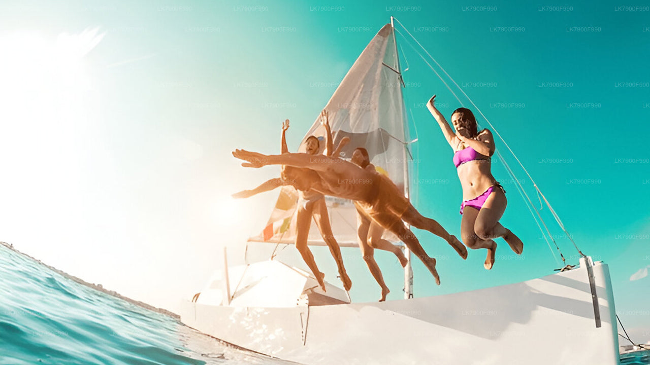 从米瑞莎出发的7小时私人观鲸游船之旅