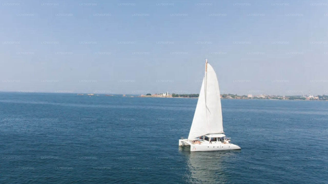 从亭可马里出发，乘坐 Ceycat 号游轮享受 2 晚游轮假期