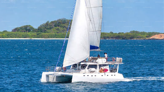 从亭可马里出发，乘坐 Ceycat 号游轮享受 2 晚游轮假期