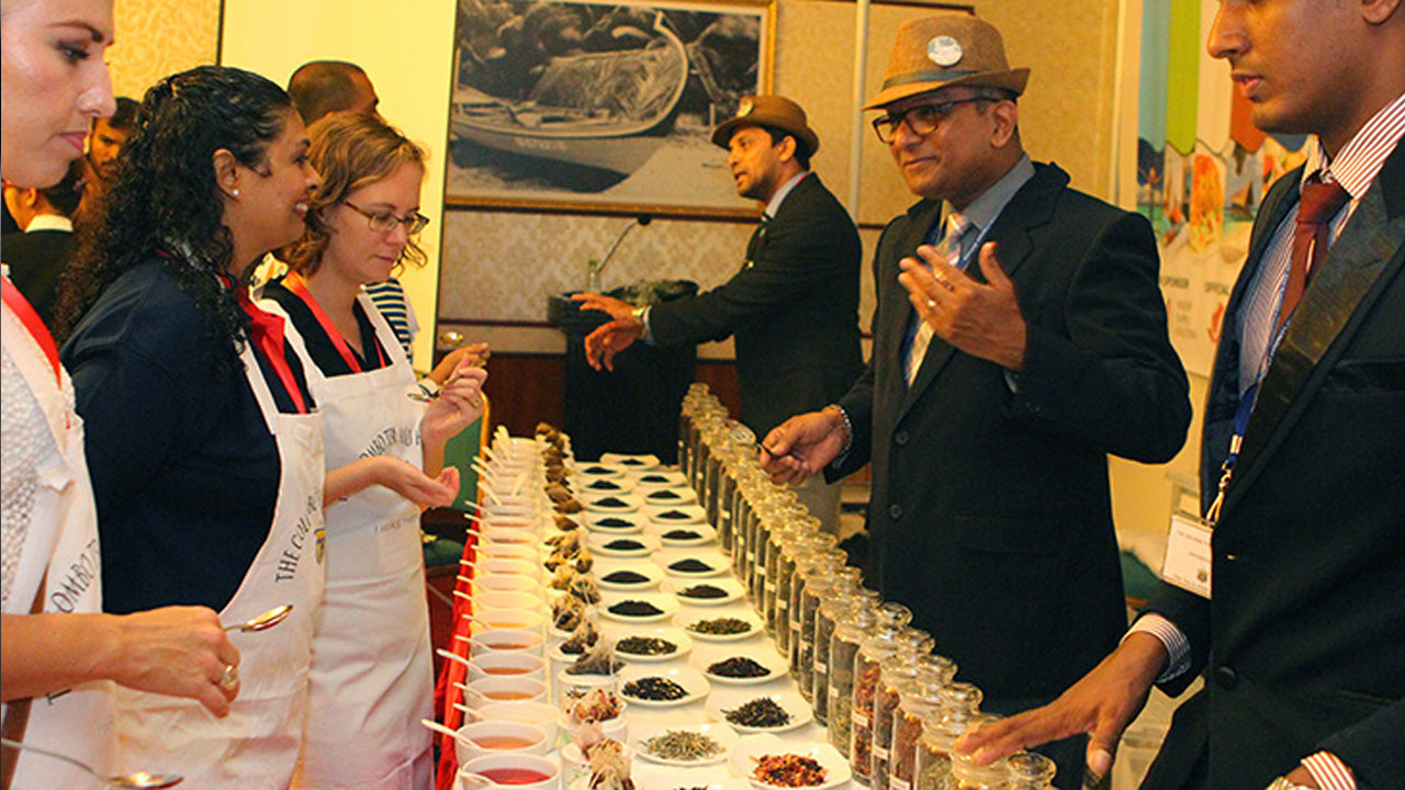 科伦坡锡兰红茶品鉴