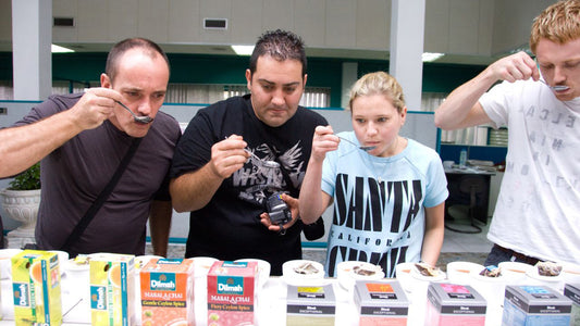 科伦坡锡兰红茶品鉴