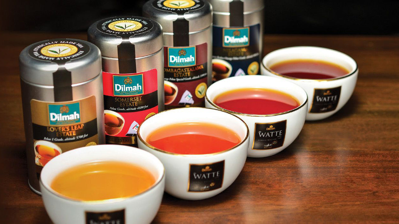 科伦坡锡兰红茶品鉴