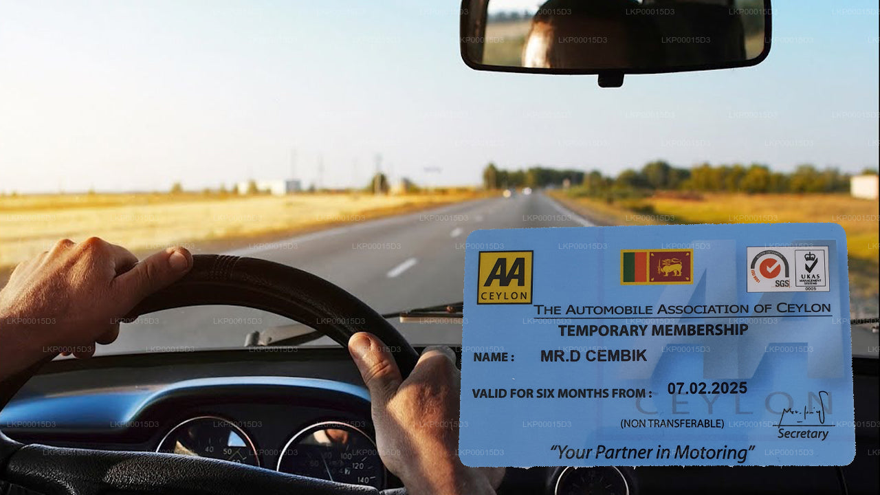 外国人临时驾驶证