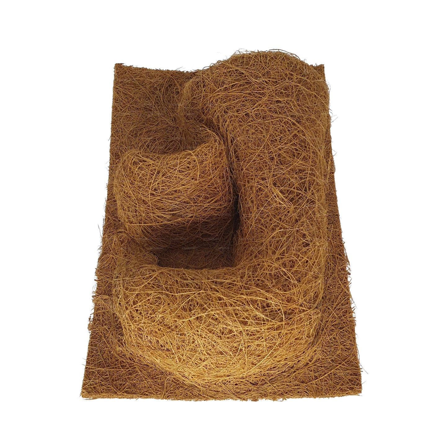 Bivenro 天然可可种植背景（20 厘米 x 30 厘米）