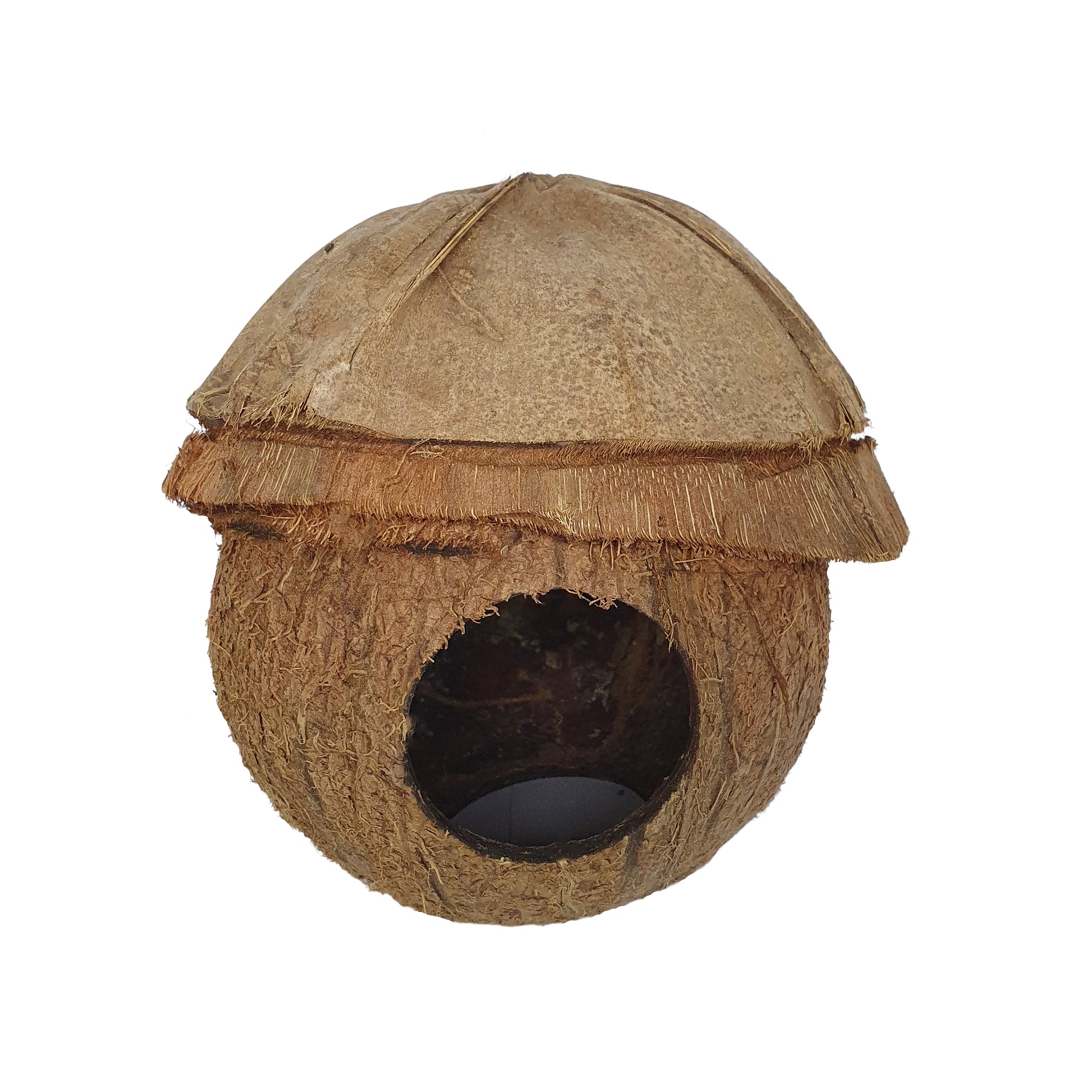 Bivenro Natural Coconut Bird Nest with husk cap offers a safe, eco-friendly shelter for small birds to nest, rest, or hide. Rustic, durable, and garden-friendly.