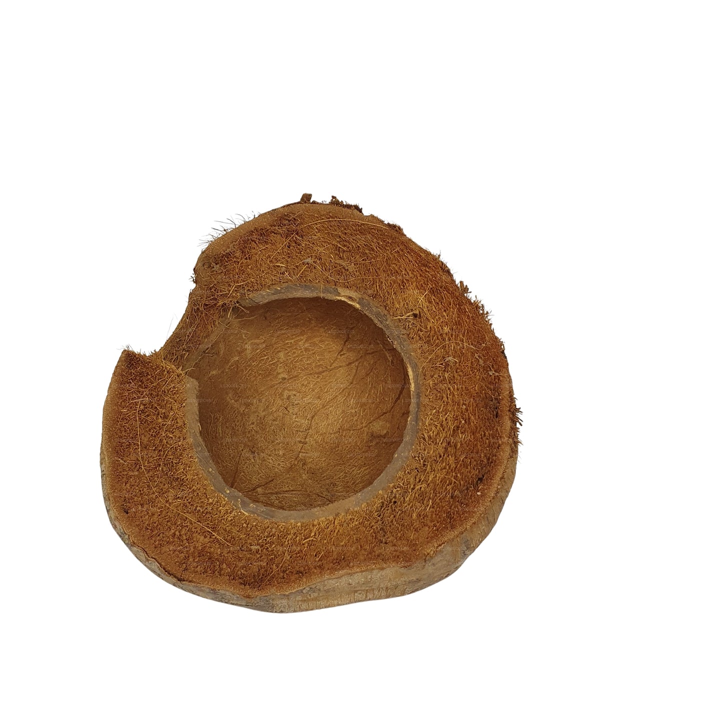 Bivenro Natural 3/4 可可藏身处采用外壳设计（均码）