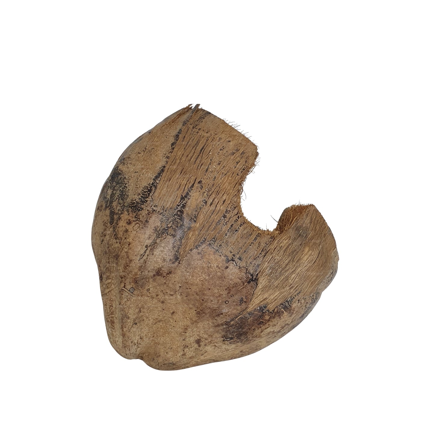 Bivenro Natural 3/4 可可藏身处采用外壳设计（均码）