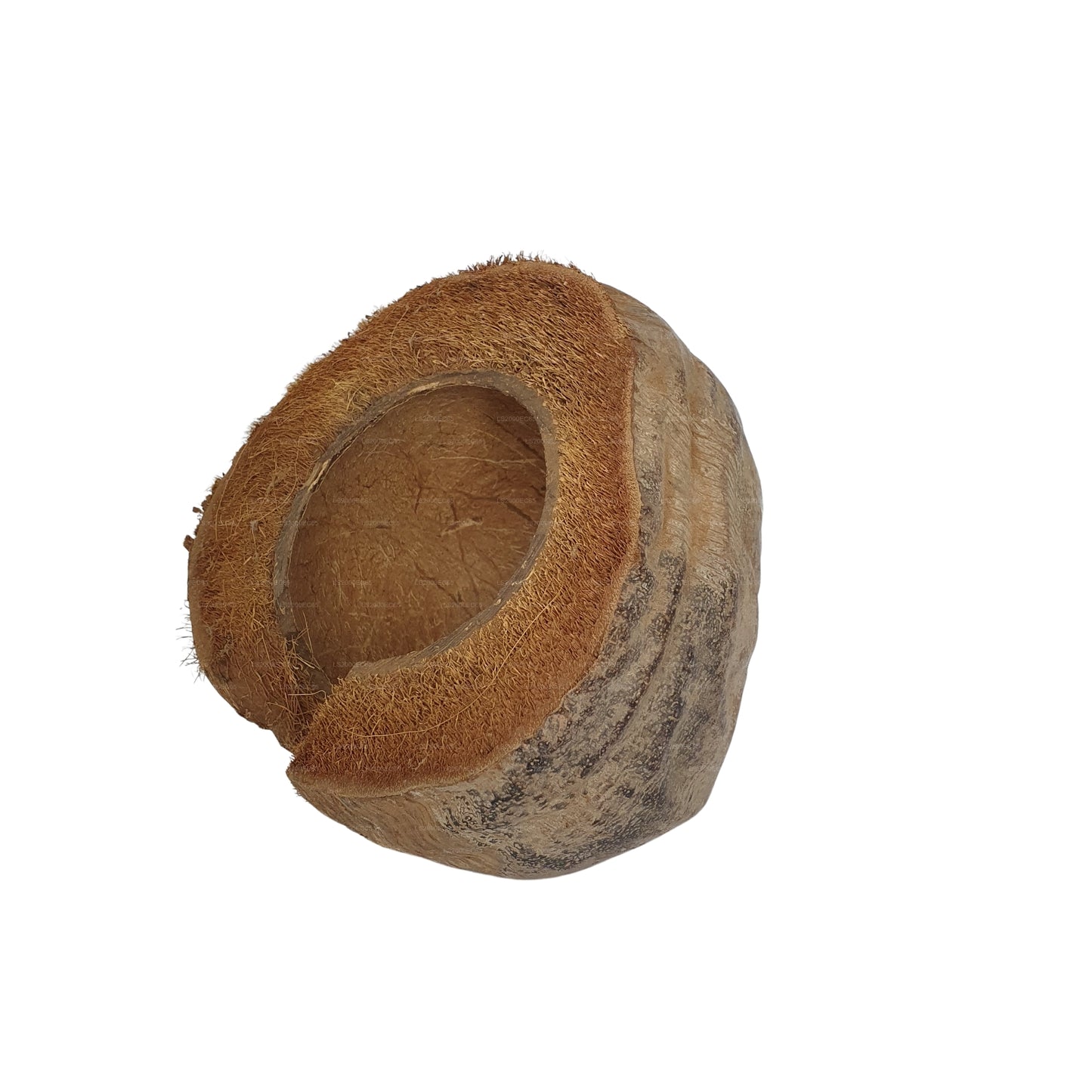 Bivenro Natural 3/4 可可藏身处采用外壳设计（均码）