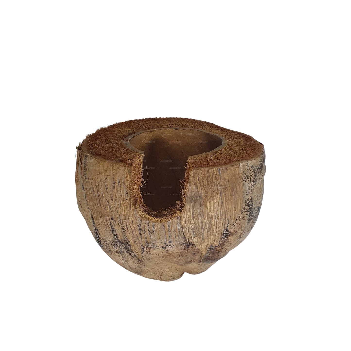 Bivenro Natural 3/4 可可藏身处采用外壳设计（均码）