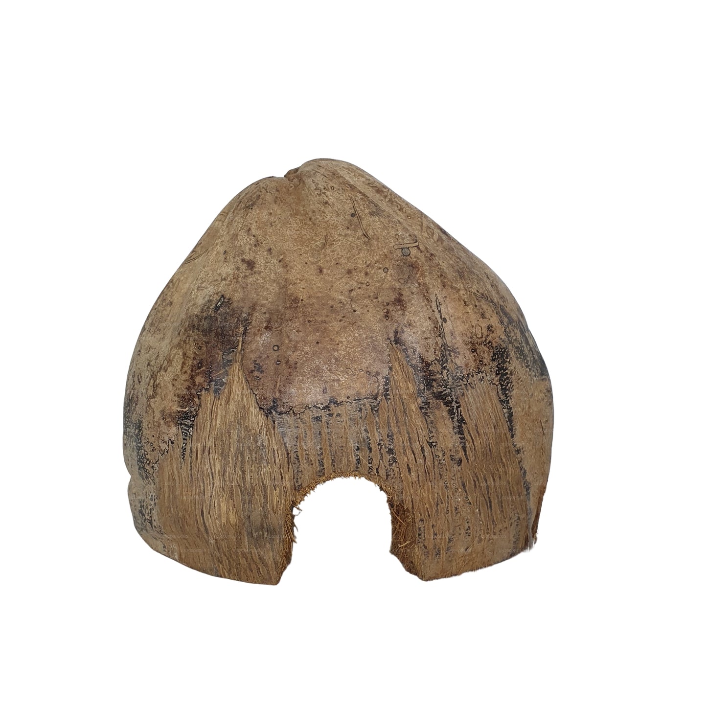 Bivenro Natural 3/4 可可藏身处采用外壳设计（均码）