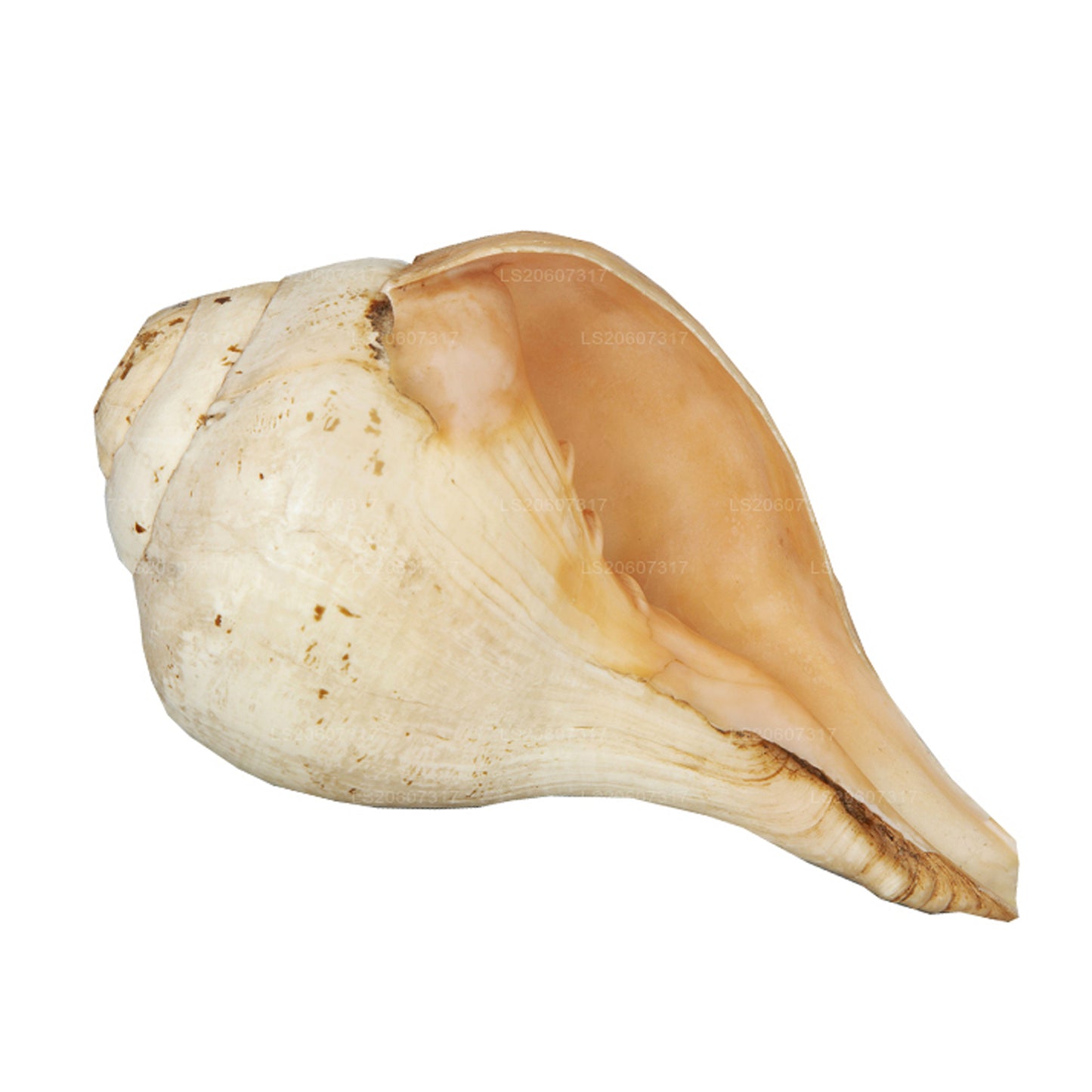 拉克普拉斯里兰卡 Hakgediya