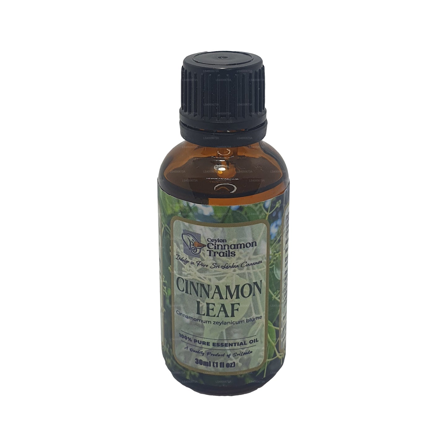 Ceylon Cinnamon Trails 肉桂叶精华油 (10 毫升)