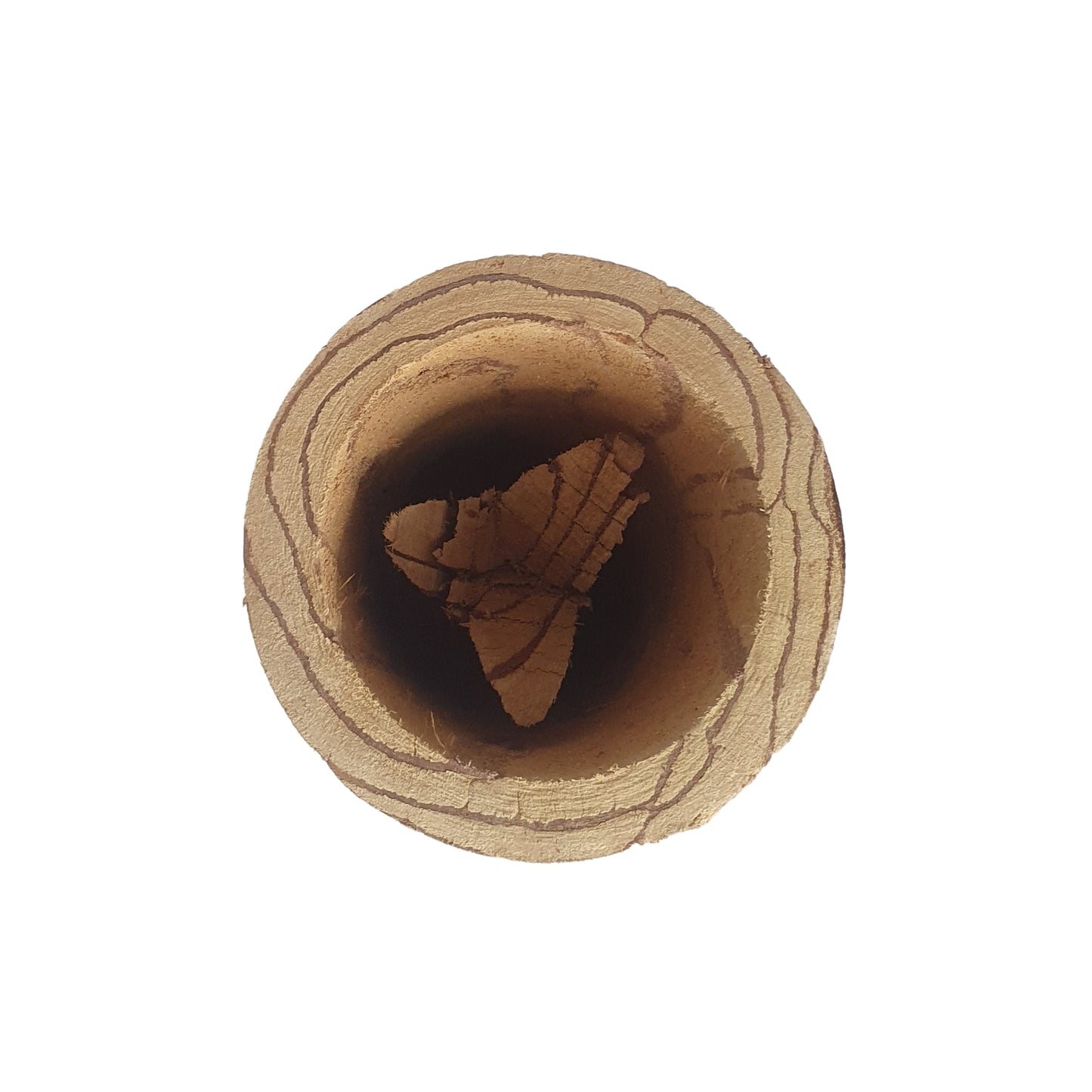 拉克普拉® 科塔拉·欣布图（五层龙）马克杯