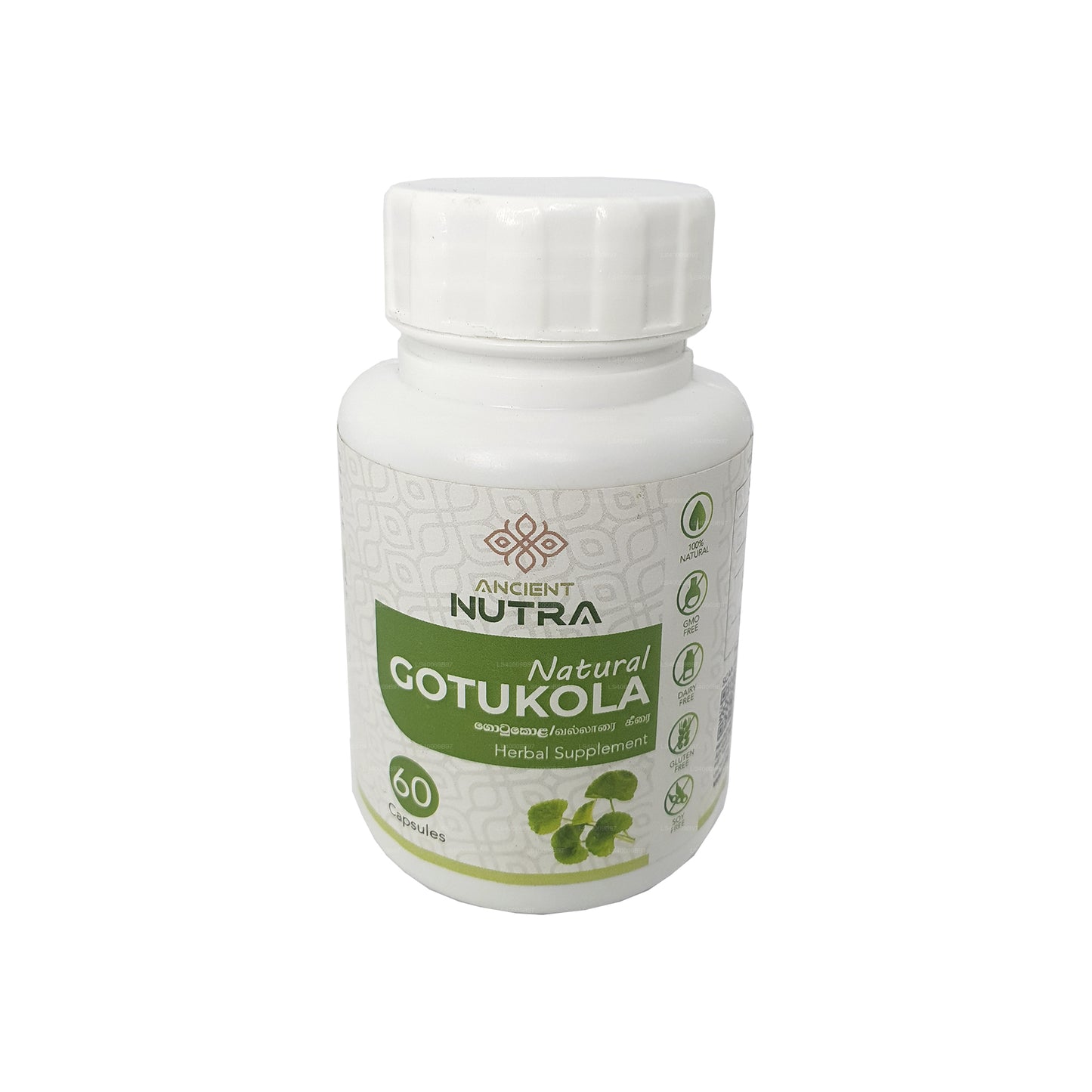 Ancient Nutra Gotukola（60 粒胶囊）