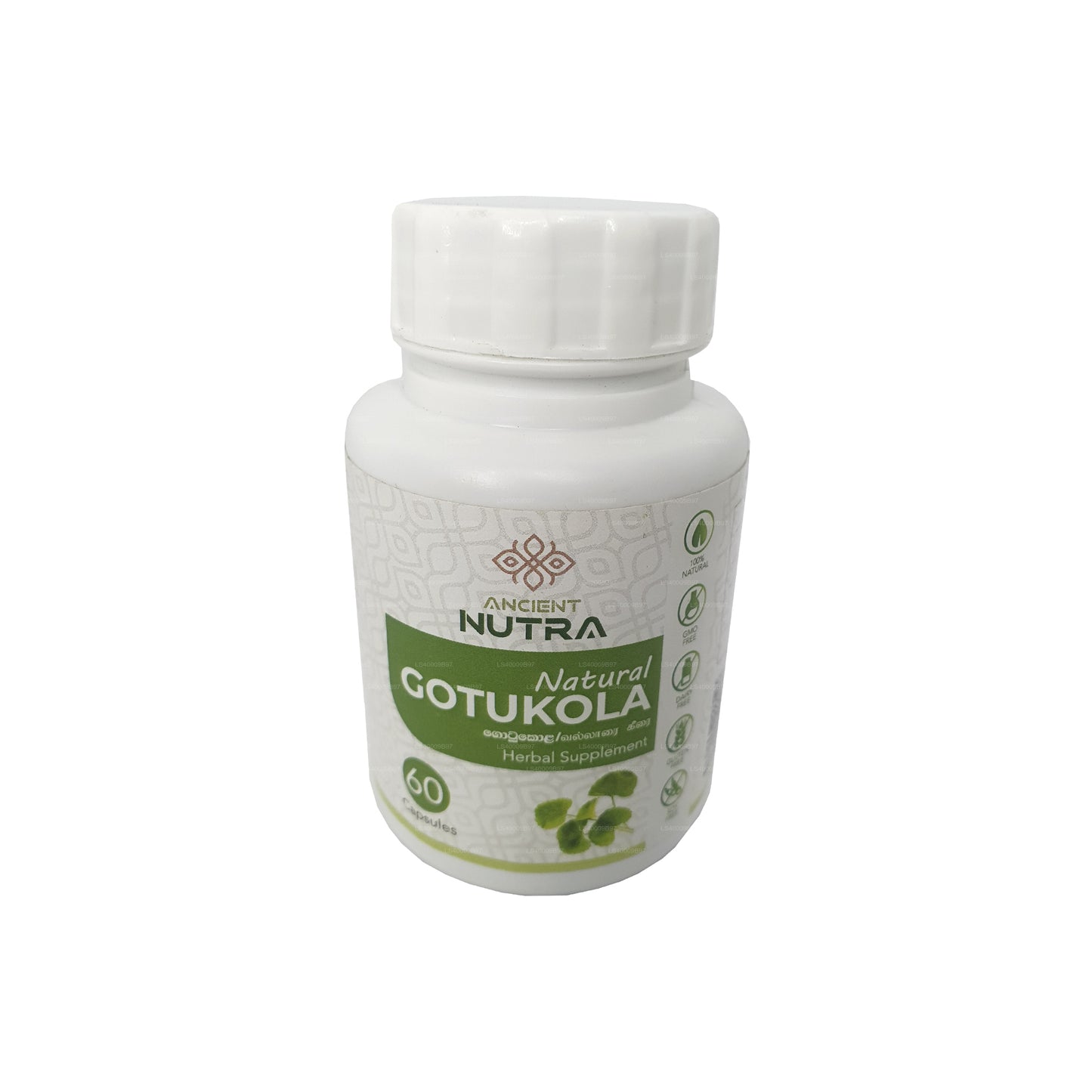 Ancient Nutra Gotukola（60 粒胶囊）