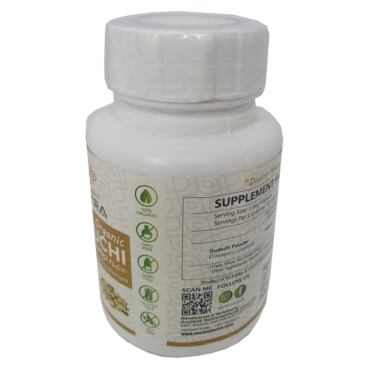 Ancient Nutra Guduchi（60 粒胶囊）