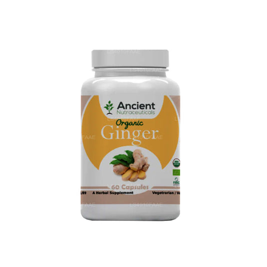 Ancient Nutra Ginger (60 Capsules)