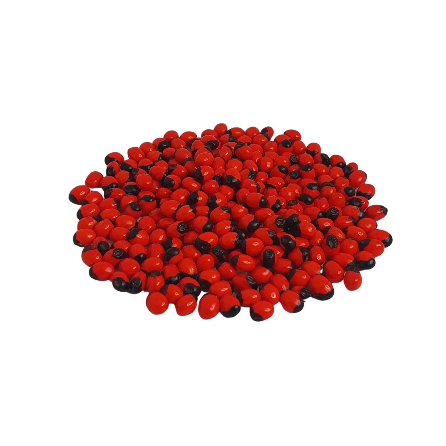 Lakpura® Olinda（摩洛哥阿布鲁斯）种子