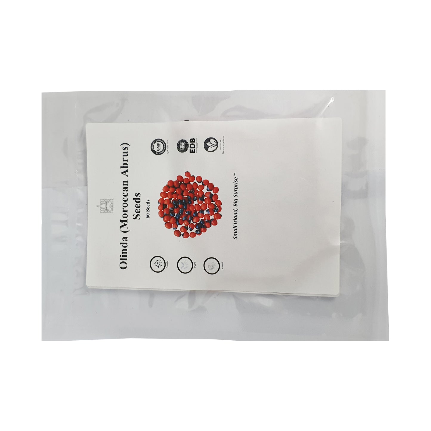 Lakpura® Olinda（摩洛哥阿布鲁斯）种子