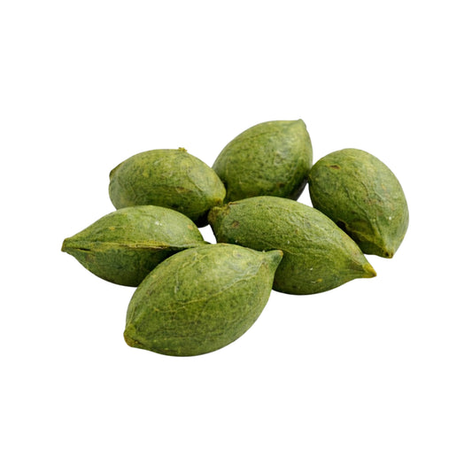 Lakpura® Terminalia Catappa (Kottamba) 整颗种子