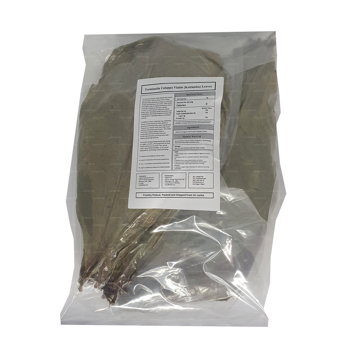 Lakpura 脱水（Kottan、Kottamba、印度杏仁）Terminalia catappa 100 片叶子（100 克）