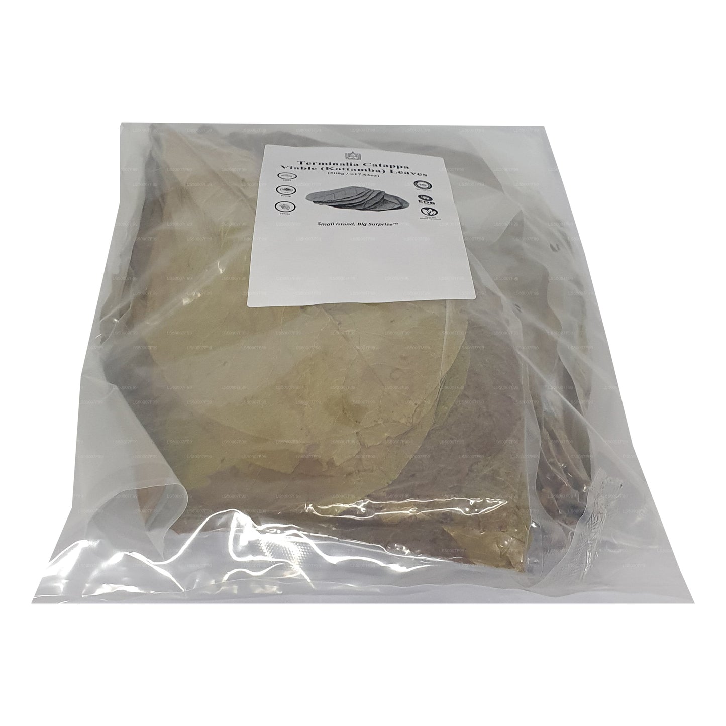 Lakpura 脱水（Kottan、Kottamba、印度杏仁）Terminalia catappa 100 片叶子（100 克）